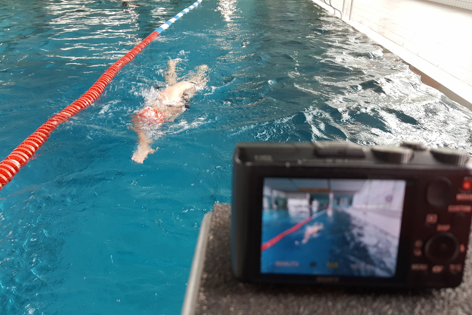 Faktencheck Kraulschwimmen: die größten Fehler bei Triathleten