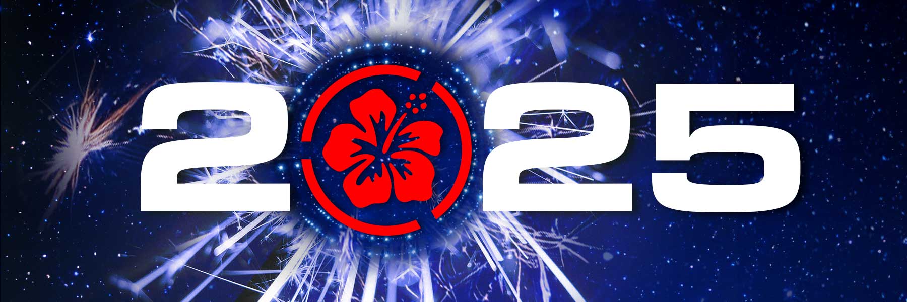 Jahresschlussverkauf - Bestseller