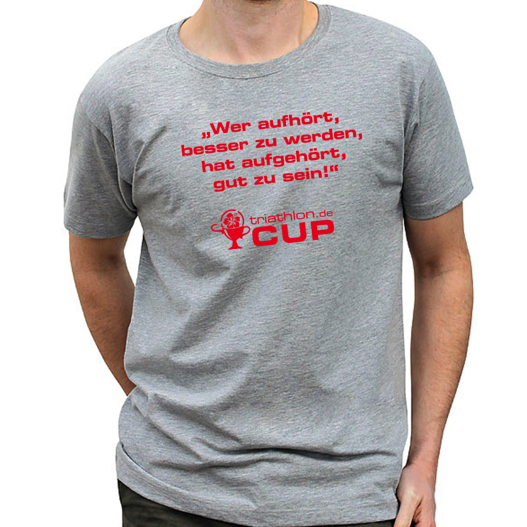 triathlon.de T-Shirt, Herren, grau