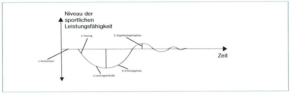 Tri-Wissen: die Superkompensation