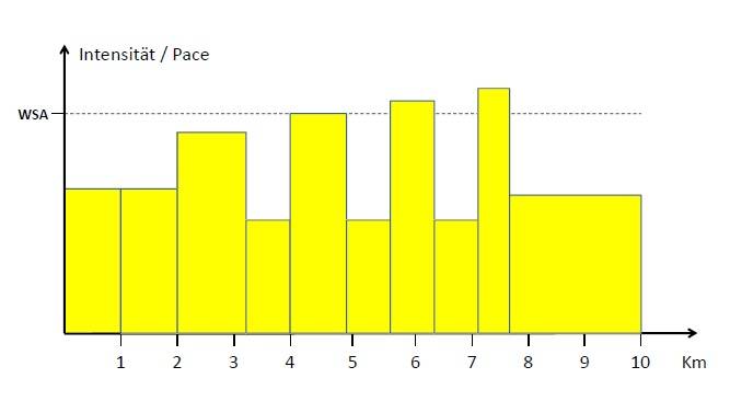 7 Variationen für den 10-km-Lauf